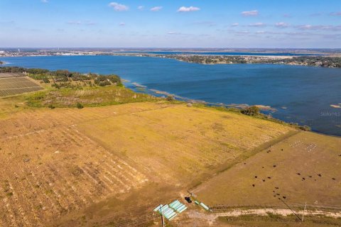 Land in Auburndale, Florida № 2239838 - photo 3