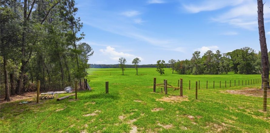Terrain à Alachua, Floride № 2167558