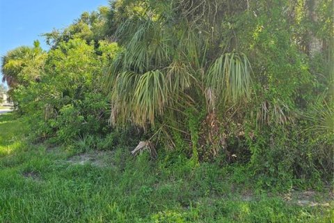 Terreno en Port Charlotte, Florida № 2209956