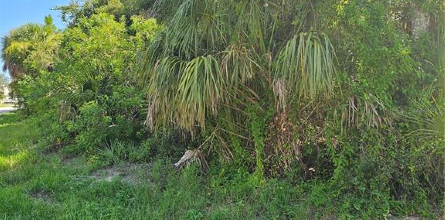 Land in Port Charlotte, Florida № 2209956