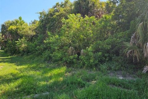 Land in Port Charlotte, Florida № 2209956 - photo 3