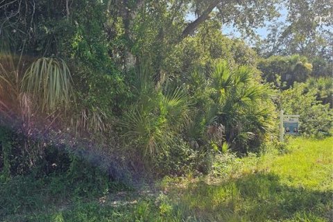 Land in Port Charlotte, Florida № 2209956 - photo 2