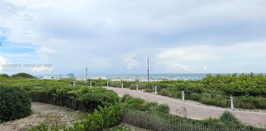 Condo à Miami Beach, Floride, 1 chambre  № 2385042