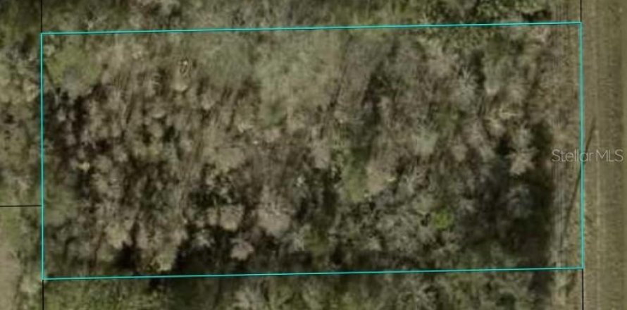 Terrain à Bunnell, Floride № 1900937