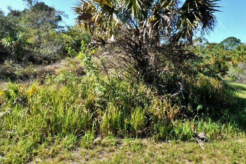 Land in North Port, Florida № 2162355