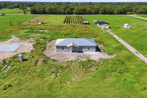 House in Arcadia, Florida 3 bedrooms, 140.1 sq.m. № 2419387 - photo 28