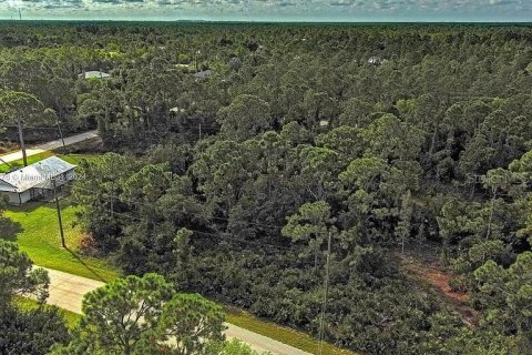 Land in Punta Gorda, Florida № 2164288 - photo 4