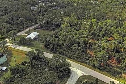 Land in Punta Gorda, Florida № 2164288 - photo 6