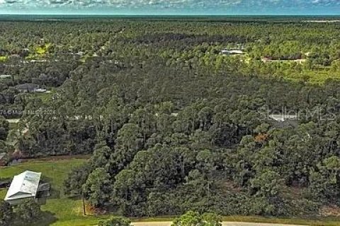 Land in Punta Gorda, Florida № 2164288 - photo 8
