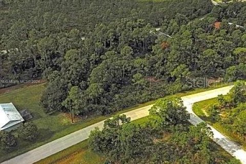Land in Punta Gorda, Florida № 2164288 - photo 9