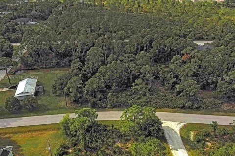 Land in Punta Gorda, Florida № 2164288 - photo 7