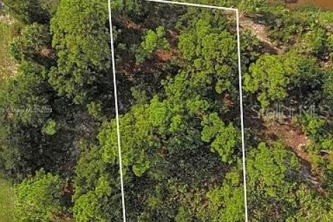 Land in Punta Gorda, Florida № 2164288 - photo 2