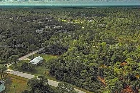 Land in Punta Gorda, Florida № 2164288 - photo 5