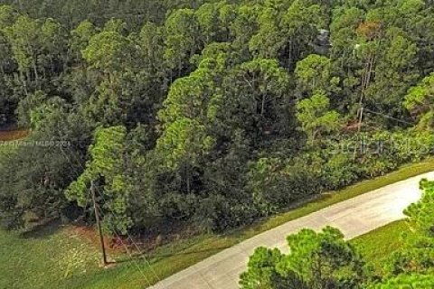Land in Punta Gorda, Florida № 2164288 - photo 3