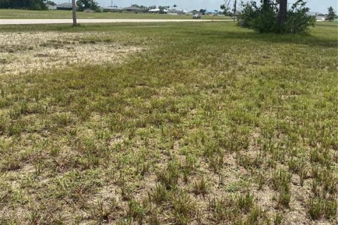 Land in Cape Coral, Florida № 2161017 - photo 3