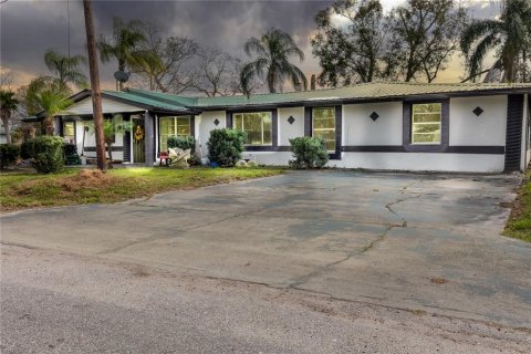House in Wauchula, Florida 7 bedrooms, 288.46 sq.m. № 2239678