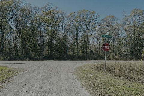 Land in Hastings, Florida № 1544577 - photo 7