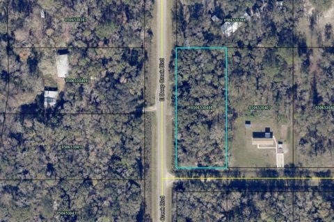 Land in Hastings, Florida № 1544577 - photo 20