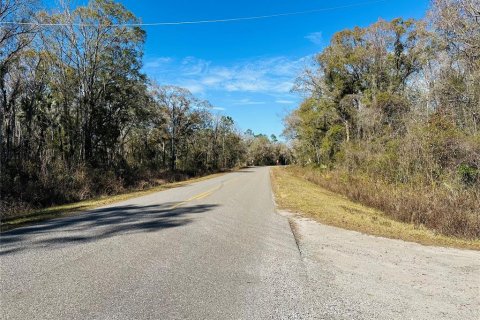 Terreno en venta en Hastings, Florida № 1544577 - foto 3