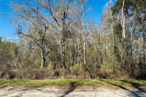 Land in Hastings, Florida № 1544577 - photo 15