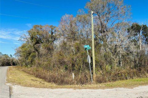 Land in Hastings, Florida № 1544577 - photo 4