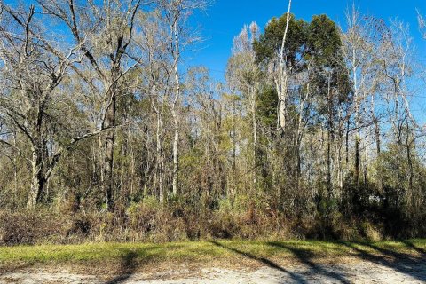 Terreno en venta en Hastings, Florida № 1544577 - foto 2