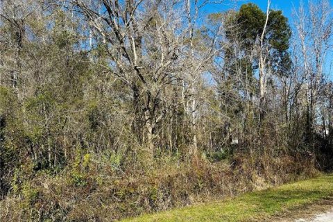 Terrain à vendre à Hastings, Floride № 1544577 - photo 6