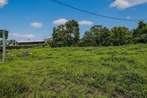 Commercial property in Seminole, Florida 278.71 sq.m. № 1811080 - photo 8