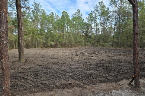 Land in Williston, Florida № 2234481