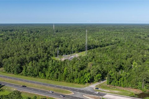 Terreno en venta en Chiefland, Florida № 1740800 - foto 2