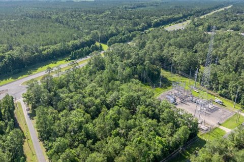 Terreno en venta en Chiefland, Florida № 1740800 - foto 6