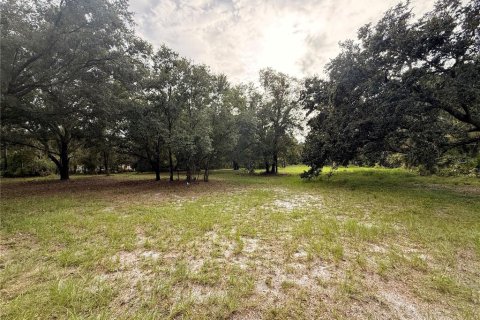 Land in Plant City, Florida № 1908477 - photo 1