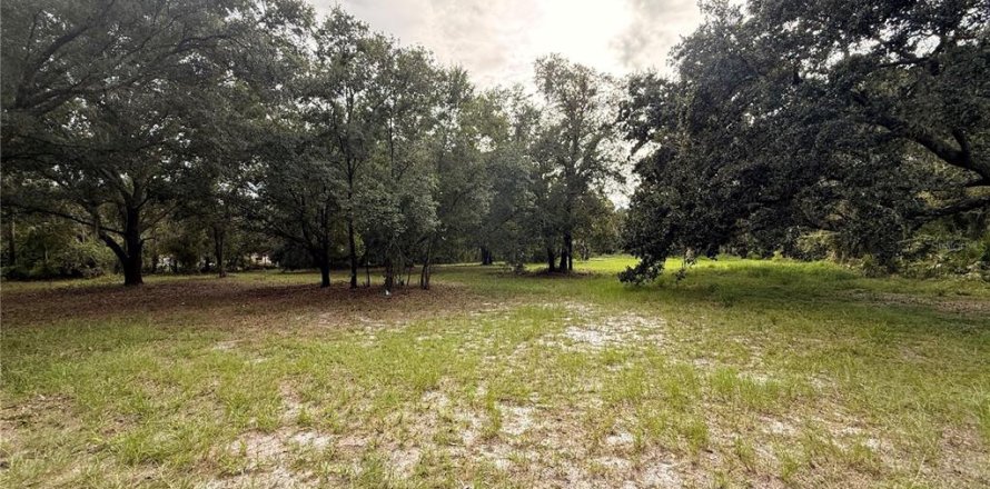 Land in Plant City, Florida № 1908477