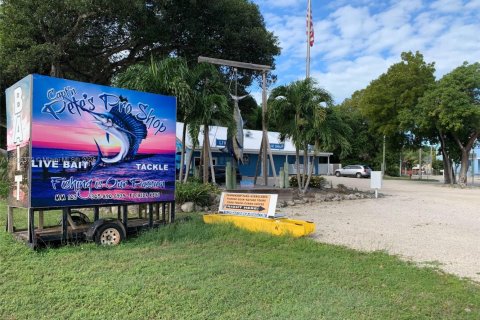 Commercial property in Key Largo, Florida № 1963558 - photo 2