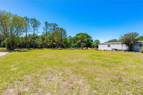 Land in Wesley Chapel, Florida № 2165718 - photo 2