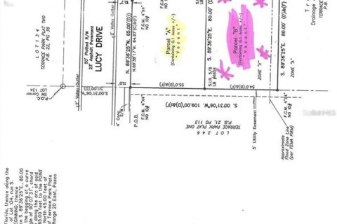 Land in Wesley Chapel, Florida № 2165718 - photo 4