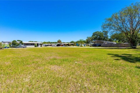 Land in Wesley Chapel, Florida № 2165718 - photo 1