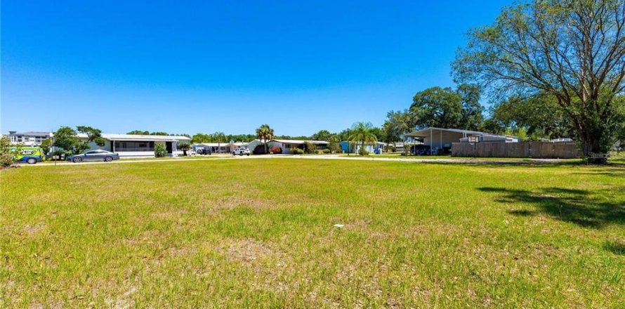 Land in Wesley Chapel, Florida № 2165718