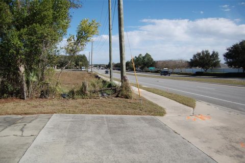 House in Fruitland Park, Florida 3 bedrooms, 222.97 sq.m. № 2136262 - photo 4