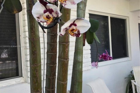 Villa ou maison à louer à Miami, Floride: 2 chambres, 157 m2 № 2077165 - photo 28