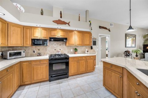 Villa ou maison à vendre à Trinity, Floride: 3 chambres, 227.05 m2 № 1839020 - photo 29