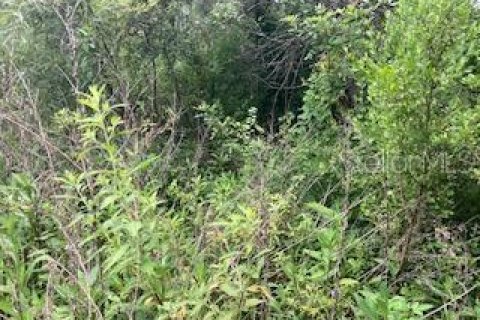 Land in Kissimmee, Florida № 2211856