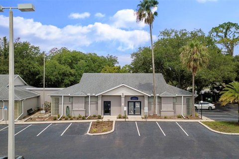 Propiedad comercial en alquiler en Tampa, Florida № 946942 - foto 17