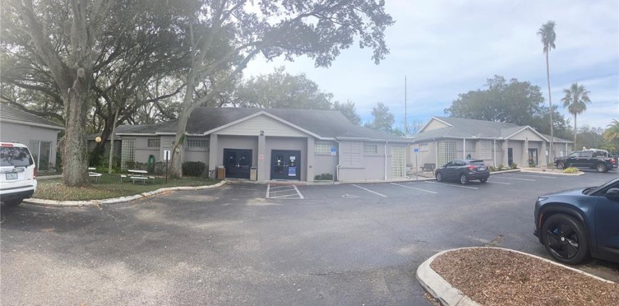 Immobilier commercial à Tampa, Floride № 946942