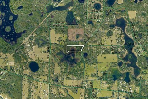 Terreno en venta en Ocklawaha, Florida № 2299248 - foto 2