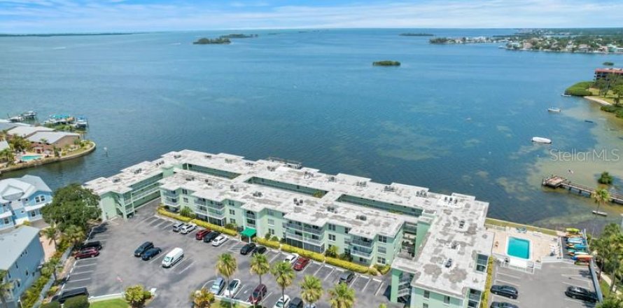 Condo in Dunedin, Florida, 2 bedrooms  № 1900183