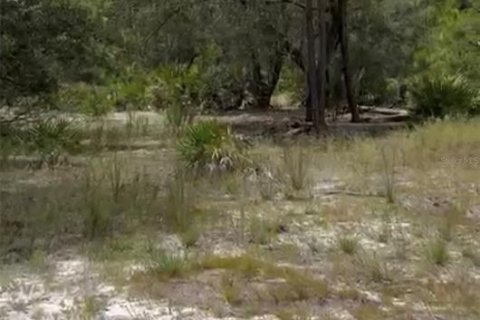 Land in Indian lake estates, Florida № 2163580 - photo 3