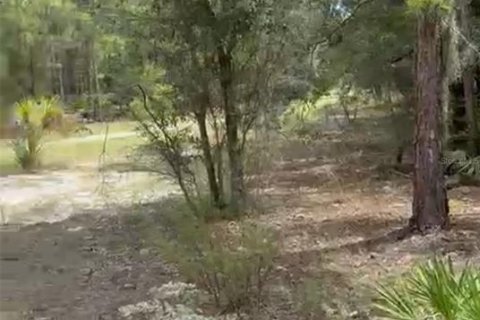 Land in Indian lake estates, Florida № 2163580 - photo 2