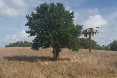 Terreno en venta en Babson Park, Florida № 1612369 - foto 8