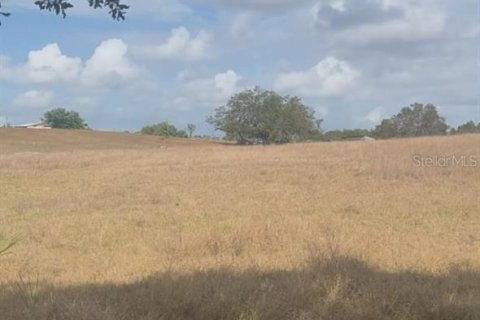 Terreno en venta en Babson Park, Florida № 1612369 - foto 4